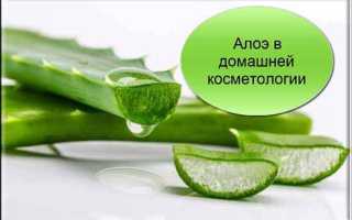 Алоэ для кожи лица