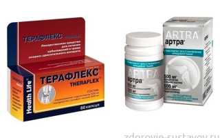 Что лучше артра или терафлекс отзывы