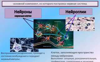 Глиоз головного мозга причины признаки диагностика лечение