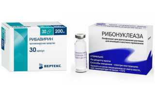 Заражение человека клещевым энцефалитом возможно при