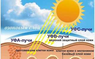Лучший защитный крем от солнца для лица