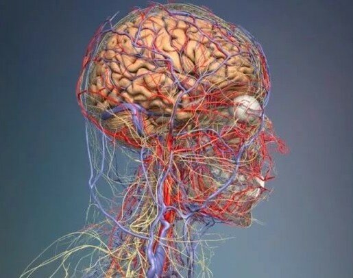 если болит сильно голова при беременности