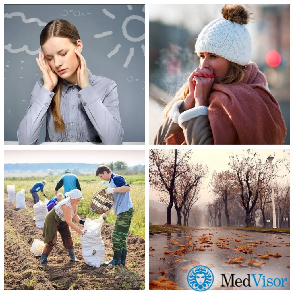 Причины обострения болей в спине осенью Каждую осень болит спина