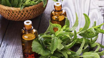 болит левый висок