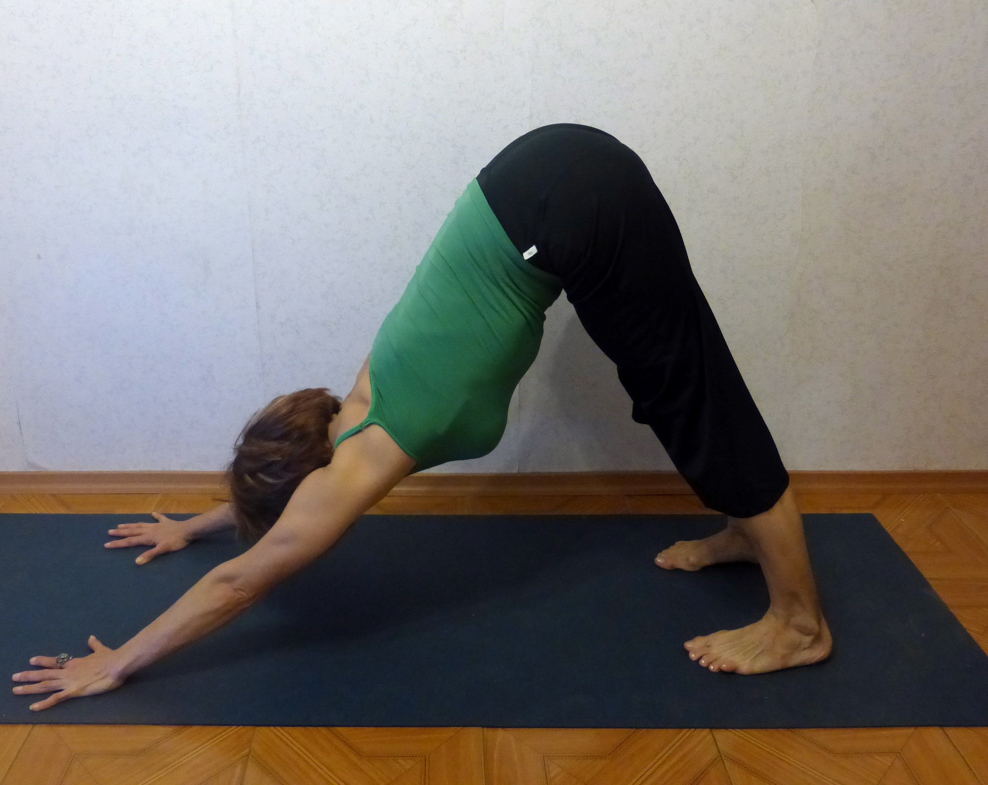 11 способов улучшить Вашу Собаку мордой вниз