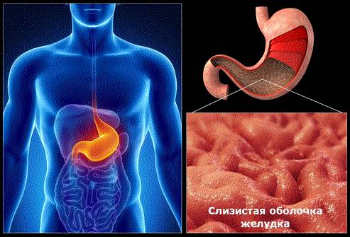 После еды болит спина причины