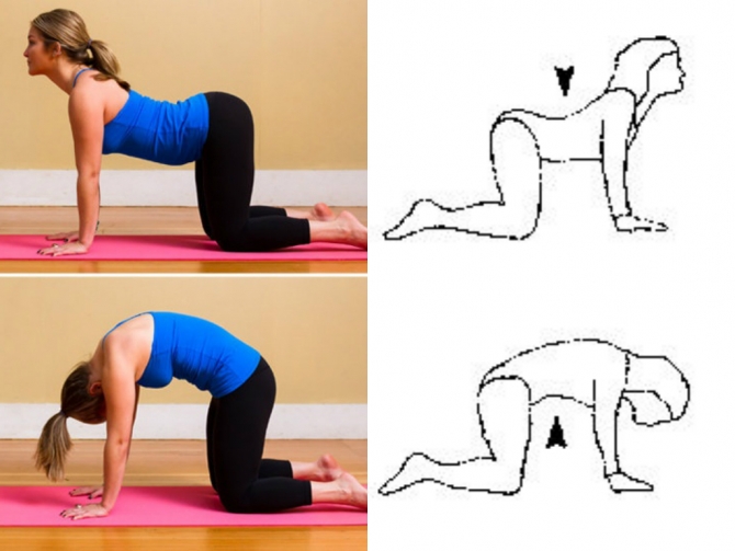 болят колени спина шея