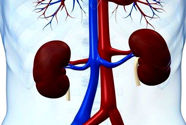 Острый пиелонефрит проявляется болями в левом подреберье и брюшной полости Острый пиелонефрит проявляется болями в левом подреберье и брюшной полости
