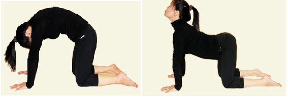 1. Марджариасана - поза вытягивающейся кошки.